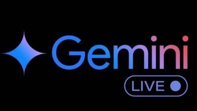 Gemini Live
