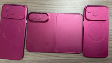 iPhone Fold