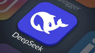 DeepSeek