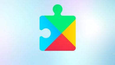Google Play system