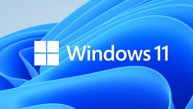 Windows 11