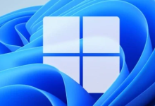 Windows 11