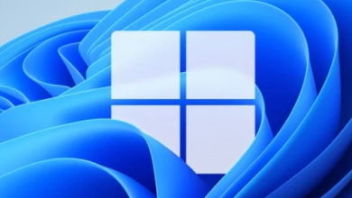Windows 11