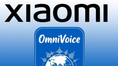 OmniVoice