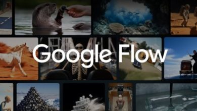 Google Flow
