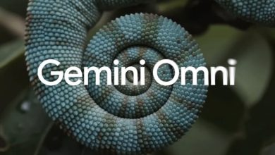 Gemini Omni