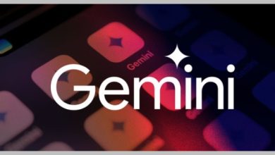Gemini Go