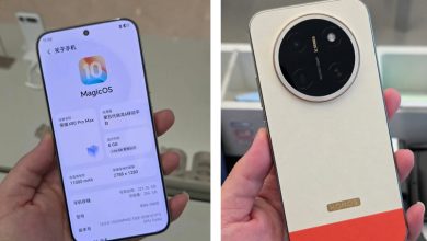 Honor X80 Pro Max