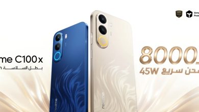 Realme C100x 4G